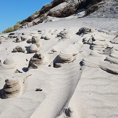 4 Person In Hjorring-by Traum 別荘 *