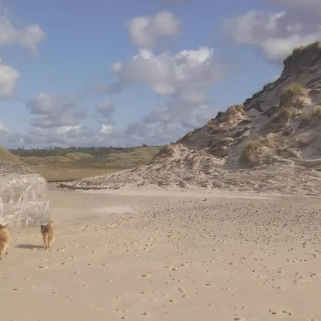 4 Person In Hjorring-by Traum 別荘